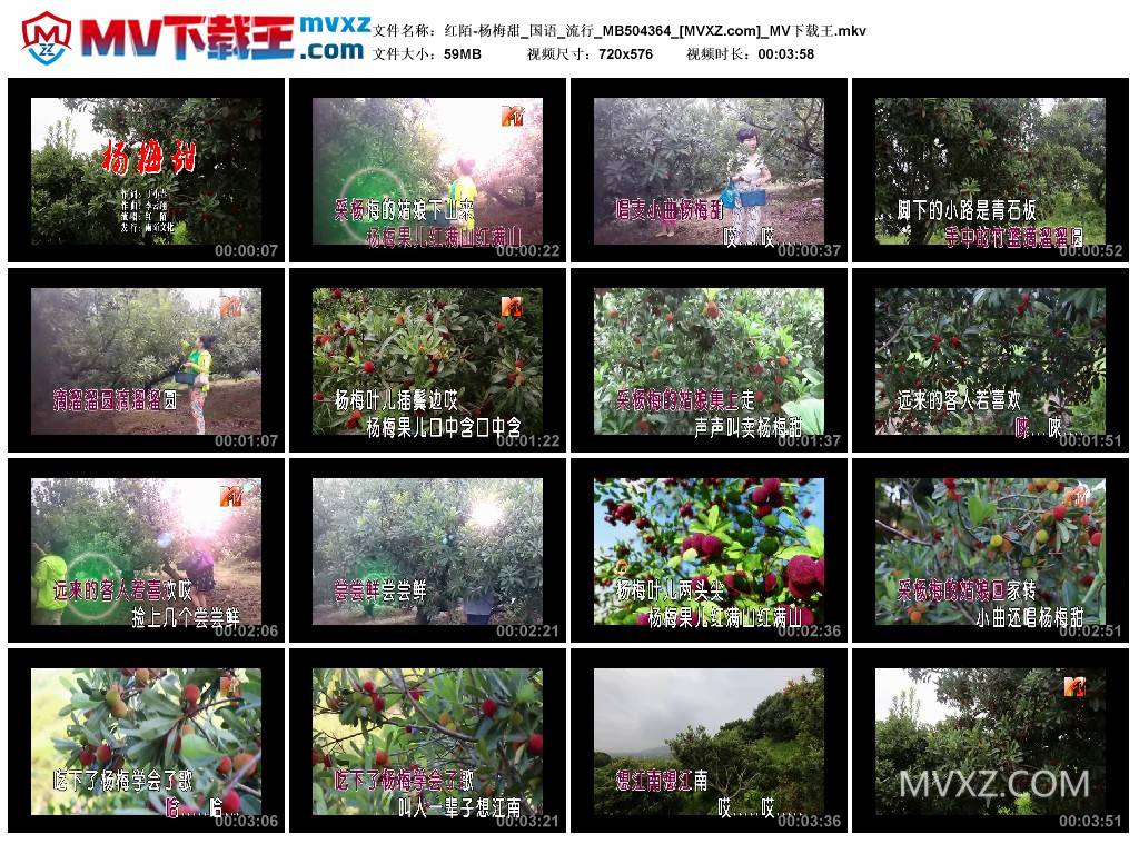 红陌-杨梅甜_国语_流行_MB504364